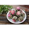 HELLOYOUNG 2 / 5x Jasmin Blooming Flower Tea Organic Health Floral Tè naturale con gemme essiccate (5pcs)