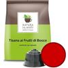 Caffè dal Mondo Capsule compatibili con Dolce Gusto - Bevande Caffè dal Mondo - Natura dal Mondo (5 Pack, Tisana Frutti di Bosco)