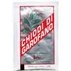 Dream' s Party Chiodi di garofano macinati - 4 bustine da 5 gr - per aromatizzare la frutta cotta, i dolci, le salse, gli arrosti, gli stufati, i vini, i liquori e gli infusi.
