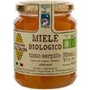 Apicoltura Colle Salera Miele biologico di Timo Serpillo - Italiano non Pastorizzato | Apicoltura Colle Salera (1 kg)