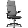 Waytex Poltrona da ufficio ergonomica in tessuto - schienale alto traspirante in rete, braccioli 2D sollevabili e girevoli, meccanismo basculante centrato, altezza seduta regolabile - nero