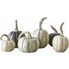 Loberon Yokane Set di 6 zucche Decorative - Dipinte a Mano - Forme Diverse Come delle zucche Vere, Crema/Verde/Nero