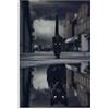 Dvbhd Quadro su Tela Arte Pantera Nera E Gatto Nero Poster Quadri Decorativa su Tela Wall Art Poster Pittura 60x90cm x1 Senza Cornice