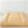 WSGJHB Tatami, materasso da pavimento, resistente all'umidità, caldo, pieghevole, singolo, doppio materasso, per studenti, dormitorio, futon, C, 90 x 200 cm