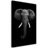 DECLINA - Quadro da parete con elefante animali, decorazione safari elegante, foto su tela, studio francese, 30 x 50 cm