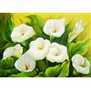 HNDXLHH Diamond Painting Kit 5d Full Giglio di Calla Quadri con Perline Pittura Diamante 5d Fai da Te Diamond Painting Kit Completo Grandi Dimensioni Disegni con Diamantini Home Decor 30 x 40 cm