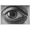 LVTFCO Famoso M.C. Escher Illusion Poster And Prints《Occhio》Wall Art M.C. Escher Dipinto su Tela per Home Office Wall Art Decor Picture 40x60cm Senza Cornice