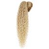 Ser Mulher Coda Capelli Extension Riccia, Lunga: 70 cm - Peso: 146 g con Coulisse Regolabile - Coda Finta Capelli, Voluminosa in Termofibra Naturale, Facile da Applicare, JACY, Platinum Blonde Meches