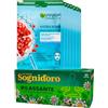 Eurocali Routine Relax Tisana Star Sognid'oro Rilassante con Passiflora e Melissa Confezione da 20 Filtri + 7 Maschere Garnier Viso SkinActive Monouso Idratanti e Rimpolpanti con Acido Ialuronico e Melograno