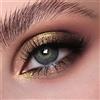 GLAMLENS Lenti a contatto colorate Salo Gray - grigio mensili - con porta lenti a contatto -grigie naturali in silicone idrogel - 2 pezzi - DIA 14.5 - senza correzione 0.00 diottrie lente a contatto