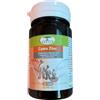 Renaco R.I. Group Camu Zinc - Renaco