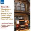 Naxos Organ Works Vol. 13