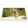 HEEPDD Condividi Cornice, Riproduzione in 100-240 V Cornice Digitale con Controllo One Touch 15,4 Pollici Bianco con Supporto per la Condivisione di Foto (Spina UE)