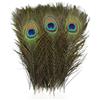 YOLNEY 10 Pz/lotto Naturali Vere Piume di Pavone per la Decorazione Spada Pennacchi Artigianato Piuma Lunga Decorazioni per la Casa Carnevale Accessori da Sposa-25-30 CM 10-12 pollici