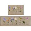 Nesphy Set di 2 tappeti e tappetini da cucina antiscivolo, lavabili, stile vintage, motivo floreale, erbe, fiori selvatici, decorazione per cucina botanica