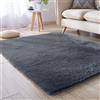 BUDINGHY Tappeto Salotto a Pelo 90 x 130 cm Antiscivolo Lungo Carpet Facile Manutenzione per Grandi Dimensioni Salotto Moderno Cameretta Bimba Tappet, Grigio Scuro