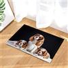 EdCott Cavalier King Charles Spanner interna tappetino camera letto tappeto bagno tappetino cucina porta mat esterno porta anteriore 40x60 cm famiglia quadrato opaco tappetino moda nuovo