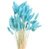 QUARKZMAN 120pz Coda di Coniglio Naturale Fiori Secchi 43cm Mini Erba di Pampa per Decorazioni Floreali Matrimonio Natale, Blu Verde