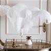 Dudnjc 10 piume di struzzo bianco naturale sfuse, pennacchi a coda lunga artigianali, piume per feste, matrimoni, centrotavola, festival, vasi per feste di Natale, decorazioni per la casa