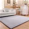 CASTLYE Tappeto per Bambini, in Velluto di Corallo, Tappeto Antiscivolo per la Camera dei Bambini, Tappeto per Salotto,Grigio Argento,150x200cm