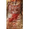 PERCORSI Teatro: Guerra e pace. Pièce per Gaza-Potete comprare i biglietti-Occhi bellissimi-Vetro-Uccidi-Gli amici di Barbablù-Piccolo diavolo-E se, se solo (Vol. 7)