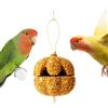 Xijobido Snack per Parrocchetto | Snack da Rosicchiare per Pappagalli - Semi per Pappagallini A Forma di,per Inseparabile, Canarino, Conuro, Coniglietto, Cavia e Cincillà