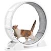Generisch Ruota per gatti, bici per gatti, per esercizi - senza rumore, per gatti Fitness Wheel, con contapassi per gatti interni, gattini