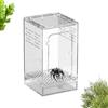 Generic Recinzione mantide religiosa - Terrario in acrilico ventilato, habitat trasparente per allevamento di grilli | per lucertola, geco, mantide, scorpione, scarabeo, rettile, granchio, serpente, lumaca