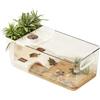 Generico Acquario Per Tartarughe Grande | Terrario Multifunzione Con Piattaforma Solarium Rimovibile | Gabbia Per Tartarughe, Rane Arboree, Salamandre, Gamberi, Animali Piccoli | Interno, Soggiorno, Casa
