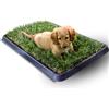 PetZolla Kit S cane PetZolla - Lettiera per cani in Vera Erba con Vassoio 60x40 cm | Traversine cane 100% naturali e atossiche, lettiera cani in vero prato dura fino a 4 Settimane - Made in Italy
