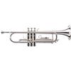 Classic Cantabile TR-40S Tromba in Sib (campana 125 mm, pistoni in acciaio inox, coulisse in alpacca, custodia, bocchino) argento