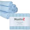 MuslinZ MUZB-6 Mussola, Azzurro