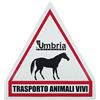Umbria Equitazione Cartello "Trasporto animali vivi" triangolare plastica per van.