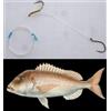 Pescasubito.com Doppio Amo Filo 0.50mm Ricciola Dentice Montatura a Doppio Amo 4/0 con Fluorocarbon Doppilato per Trolling con Esca Viva