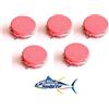Pescasubito.com Kit 5 Lenze Bolentino Surf Casting 4 Braccioli Ami Girelle Finali Pesca Mare