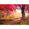 Runa Art Carta da parati fotografica bosco in autunno 352 x 250 cm Vello Sfondo Murale XXL Moderne Decorazione Soggiorno Camera De Letto Sala Ufficio Marrone Arancione Rosso 9079011a