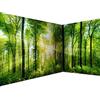 murando PREMIUM Carta da parati Foresta Verde 550x250 cm Fotomurali in TNT Murale alla moda Decorazione da Muro XXL Poster Gigante Design Carta per pareti Paesaggio Natura verde Albero c-A-0058-a-b
