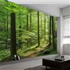 Generic Murales Fotografici Fotografia di Paesaggio Albero Sole, Carta da Parati 3D per Soggiorno e Camera da Letto 500 x 280 cm (L x A), Fotografia Paesaggistica Carta da Parati Decorativa