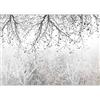 murando Carta da parati Astratto 500x350 cm Fotomurali in TNT Murale alla moda Decorazione da Muro XXL Poster Gigante Design Carta per pareti Botanica Foresta come dipinto Albero b-C-0840-a-a