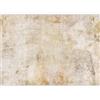 murando Carta da parati Calcestruzzo 500x350 cm Fotomurali in TNT Murale alla moda Decorazione da Muro XXL Poster Gigante Design Carta per Pareti Soggiorno Astratto Pietra beige a-A-10109-a-a