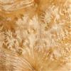 Aibote 4 pezzi Fatti a Mano Burma Golden Canfora Fogli da Restauro in Legno Impiallacciato in legno Naturale Materiale fai da te(Dimensioni Complessive: 4x33x29 cm)