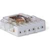 TECNOSWITCH REINTER Interruttore 50-60 Hz - 12, 24, 230 Vac, Grigio