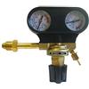 GOLVER RIDUTTORE DI PRESSIONE ARGON/MIX ECOJET