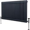 Monster Shop Radiatore Termosifone a 2 Colonne 600mm x 1012mm Moderno Centralizzato Grigio Antracite in Acciaio Inox Orizzontale a Parete Cucina Soggiorno Bagno Kit di Fissaggio e Spazzola Inclusi