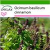 SAFLAX - Basilico cannella - 200 semi - Con substrato - Ocimum basilicum cinnamon