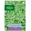 Vilmorin Kit 10 pz. semi melissa citronella