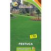 SEMIMEL Festuca Mix - Semi di Graminacea Perenne, Resistente alla Siccità e al Caldo, Per Prati e Aree Ricreative, 1kg, Adatta a Terreni Misti 1 confezione