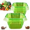 Generic Collari per piante | 20 pezzi di protezione da giardinaggio - collari di protezione per lumache e lumache - per ortaggi, fiori, insalata, piantine, prato, cortile, vivaio all'aperto