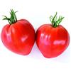 Franchi Sementi Semi Pomodoro Cuor di Bue Franchi Sementi 1g