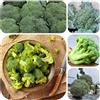 Generic broccoli semi di broccoli resistenti, vecchie varietà di vecchie varietà, invernali, 180pcs